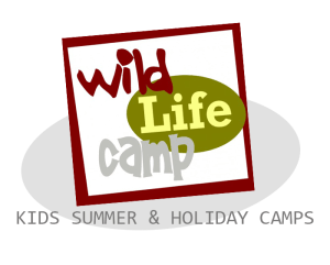 kids camps