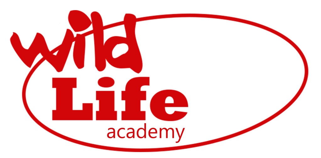 wl academy elipse large