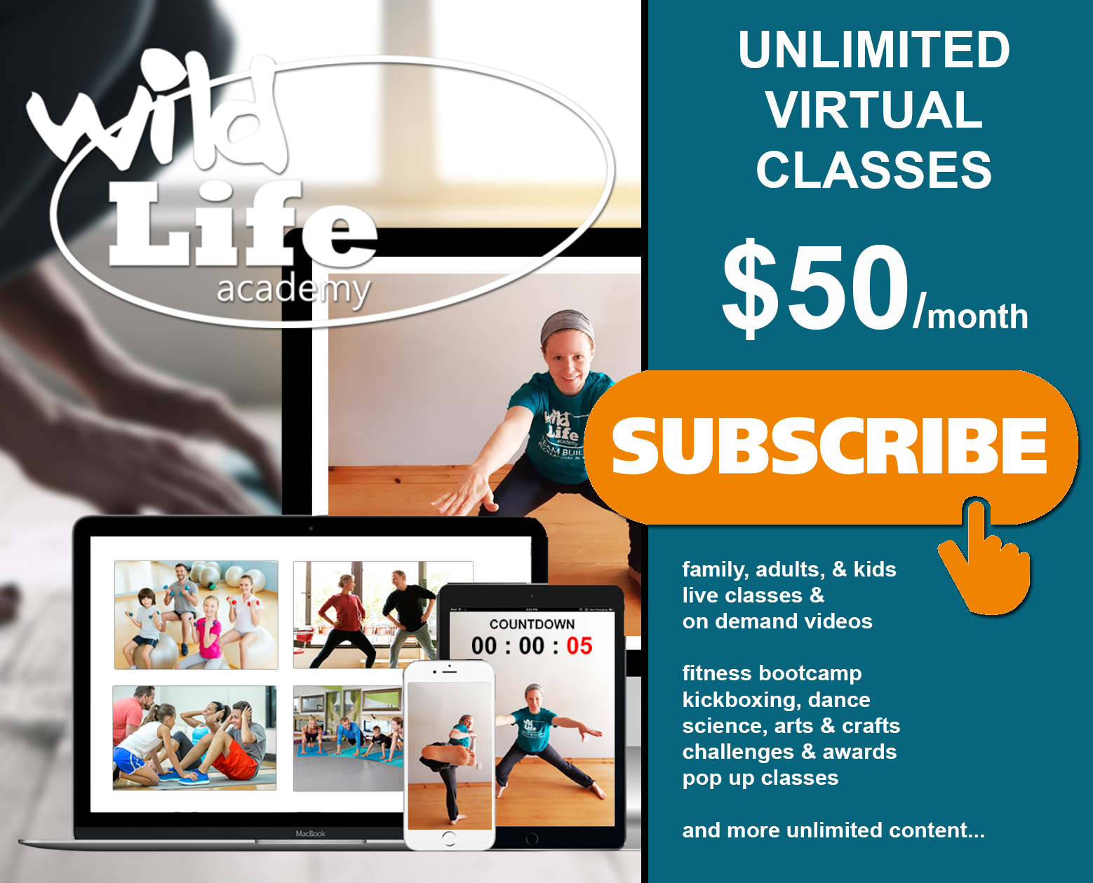 Virtual Class Subscription – RECREATION / FITNESS / TEAM-BUILDING